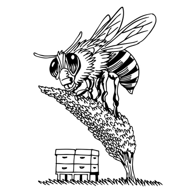 Abeja sobre un árbol inclinado sobre unos cajones de apicultura