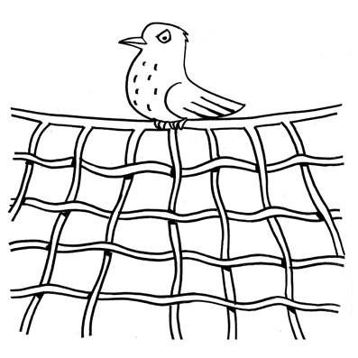 Pájaro enojado sobre una red de cuerdas