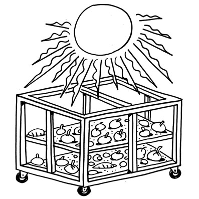 Sol sobre unas bandejas con frutas y verduras