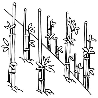 Plantas nativas creciendo en la tierra