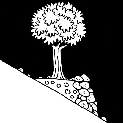 Ilustración en blanco y negro de un árbol creciendo en una terraza natural en una inclinación
